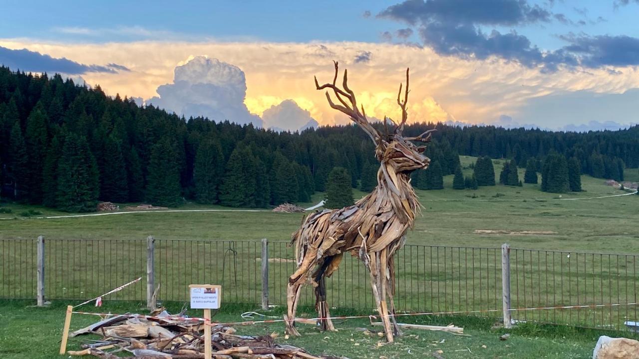 Malga Millegrobbe Nordic Resort ラヴァローネ エクステリア 写真