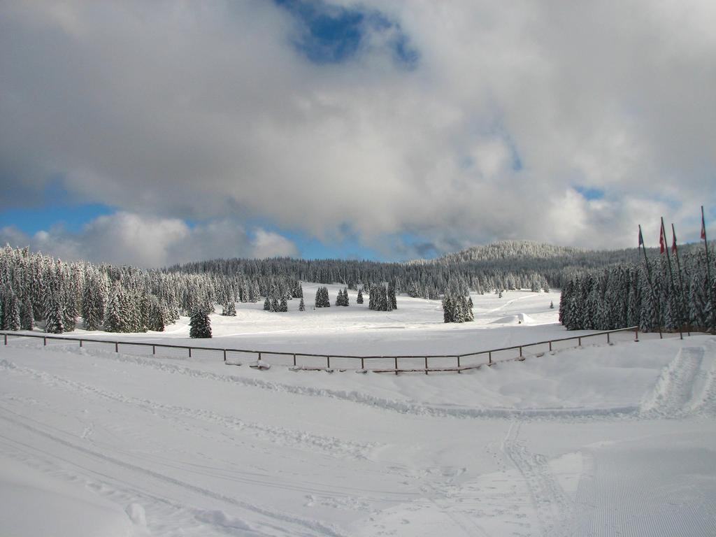 Malga Millegrobbe Nordic Resort ラヴァローネ 部屋 写真